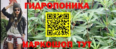PSILOCYBIN Брянск