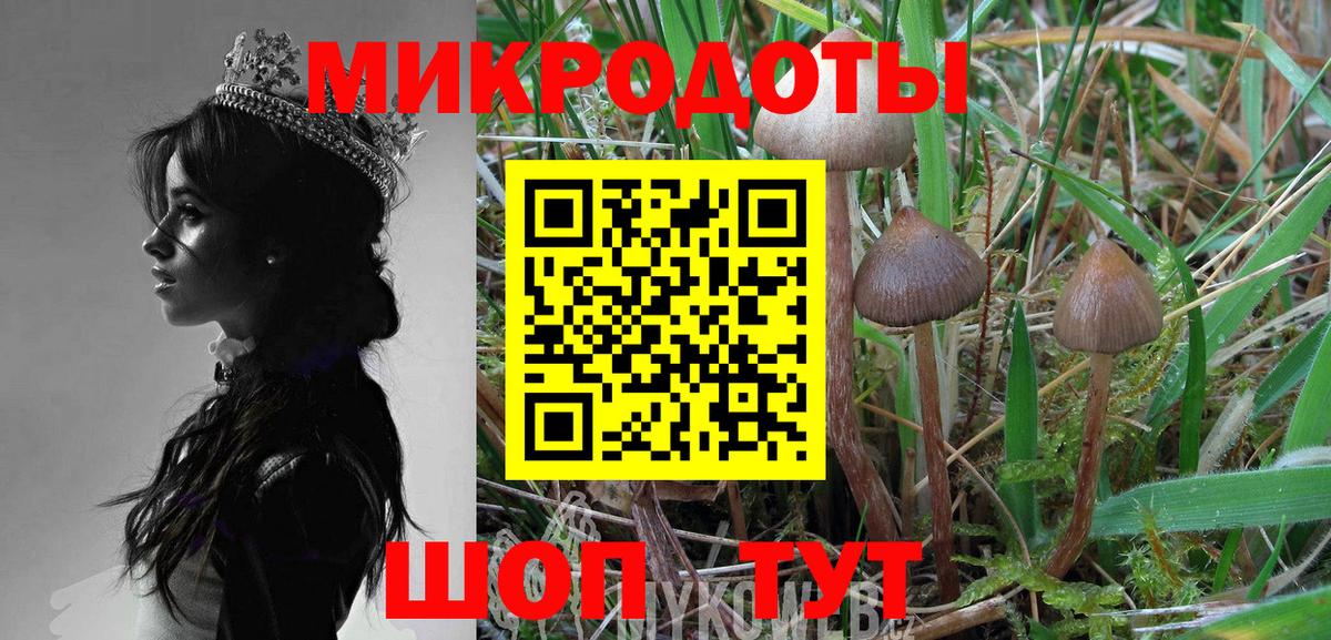 Дедовск  купить  цена  Вход с VPN  Галлюциногенные грибы прущие грибы 