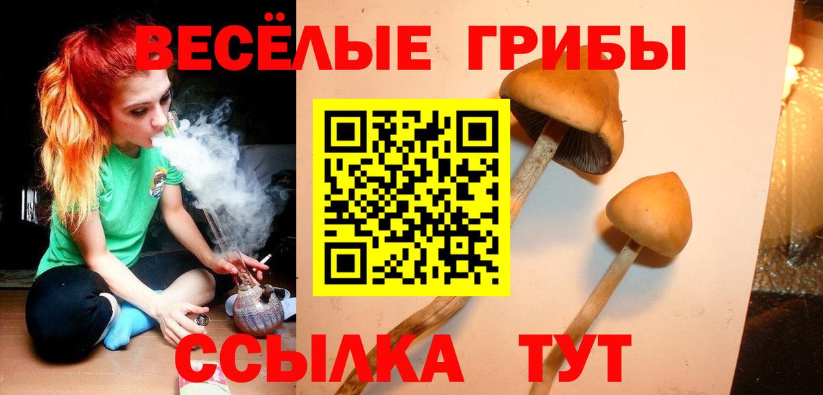 Галлюциногенные грибы прущие грибы Дедовск